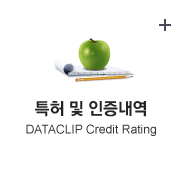 특허 및 인증내역 DATACLIP Credit Rating